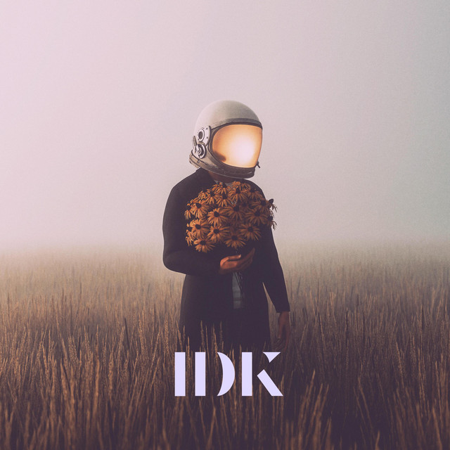 IDK cover art