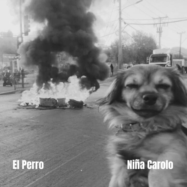 El Perro album image