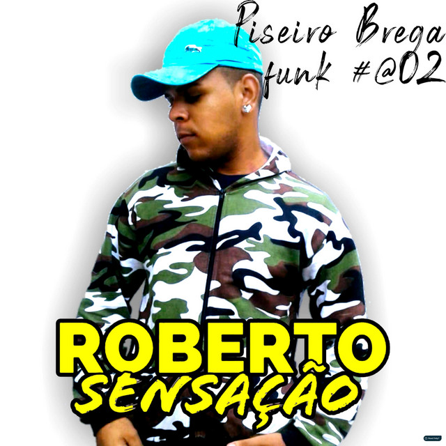 Piseiro Brega Funk #@02