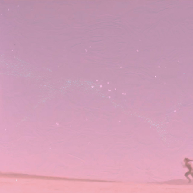 Salt cover art