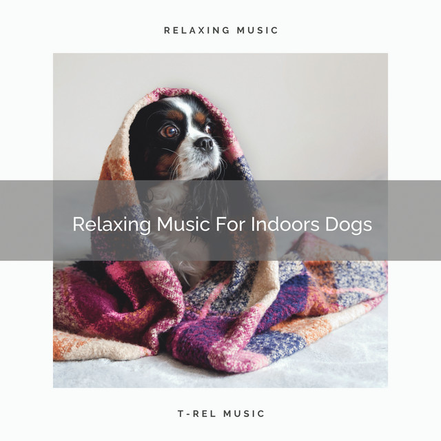 Relaxing Music For Indoors Dogs cover art