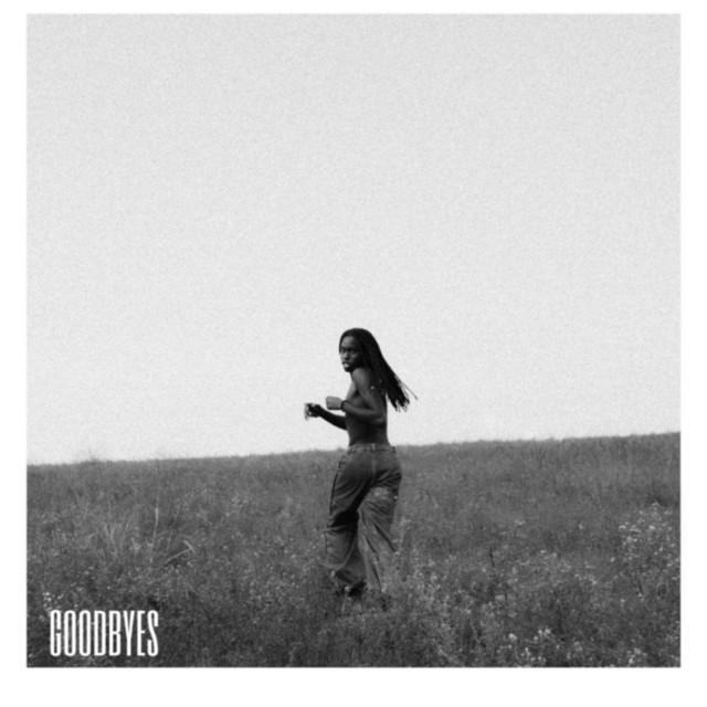 Goodbyes cover art