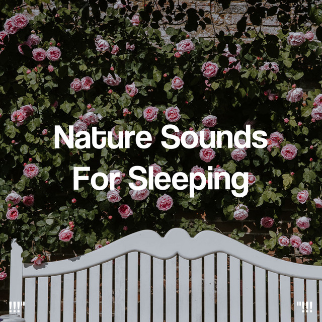 Nature Sounds For Sleeping !!!" - Album by Deep Sleep | Spotify