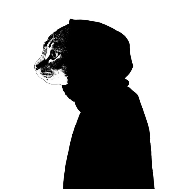 Life cover art