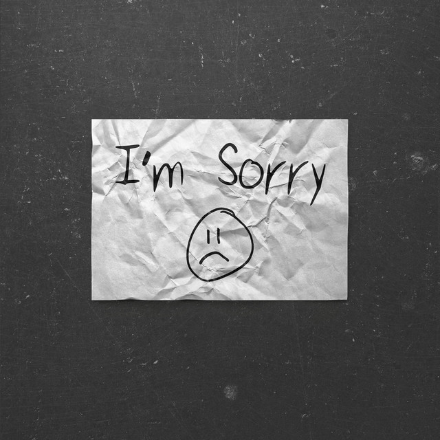 I'm Sorry cover