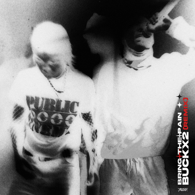 BRING THE PAIN ! - Remix