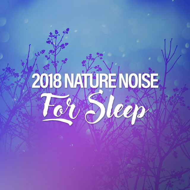 2018Nature Noise for Sleep - Album by Nature Sounds Nature Music | Spotify