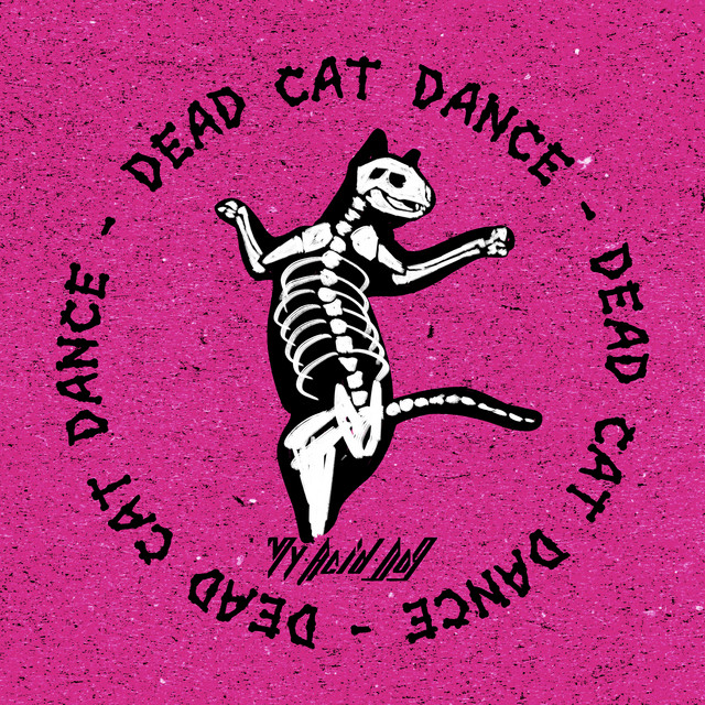 Cover art for My Acid Dog — Dead Cat Dance