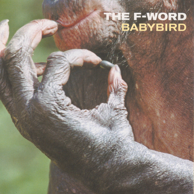 The F-Word