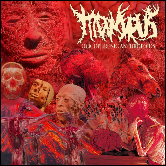 OLIGOPHRENIC ANTHROPOIDS cover art
