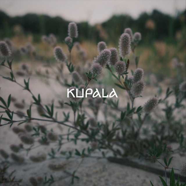 Обкладинка: KUPALA — Pornfish