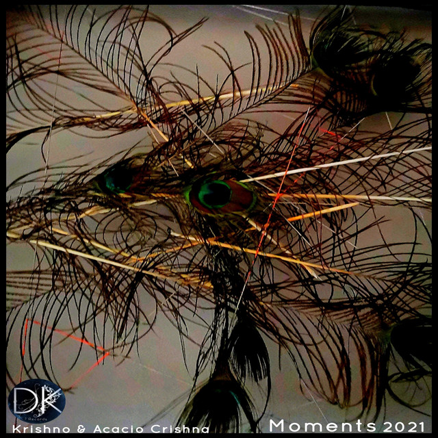 Moments - Single by Krishno | Spotify