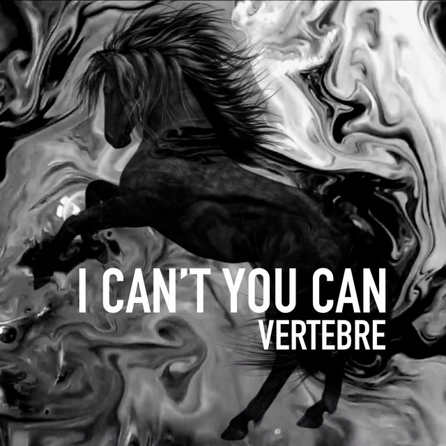 Pochette du titre I Can't You Can
