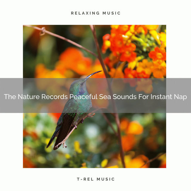 The Nature Records Peaceful Sea Sounds For Instant Nap cover art