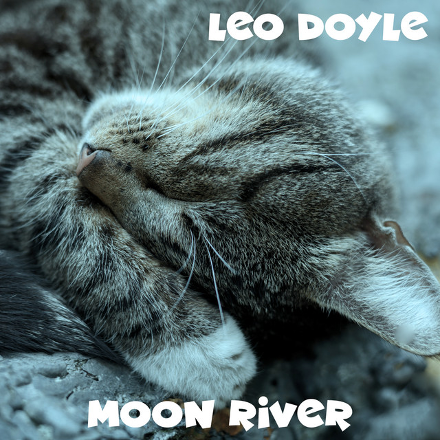 Leo Doyle