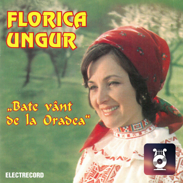 Bate Vânt De La Oradea cover art