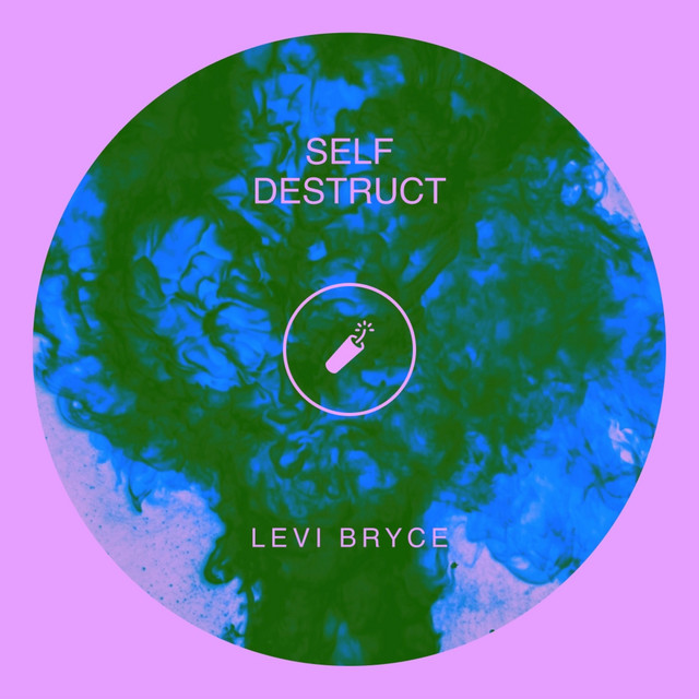 Self Destruct cover art
