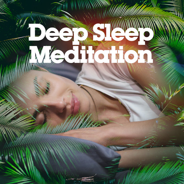 Deep Sleep Meditation ! ! ! ! ! - Album by Deep Sleep Meditation | Spotify
