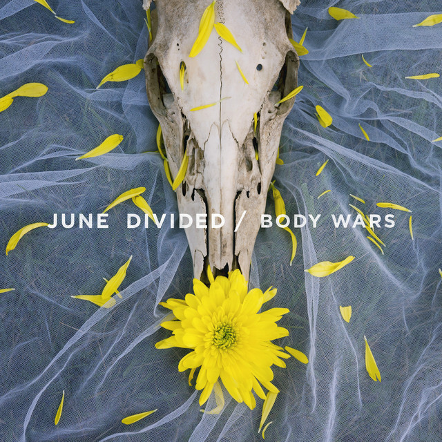 Body Wars cover art