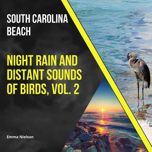 South Carolina Beach Night Rain and Distant Sounds of Birds, Vol. 2 cover art