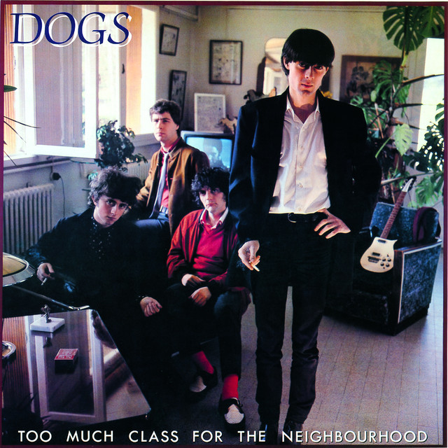 Too Much Class For The Neighbourhood cover