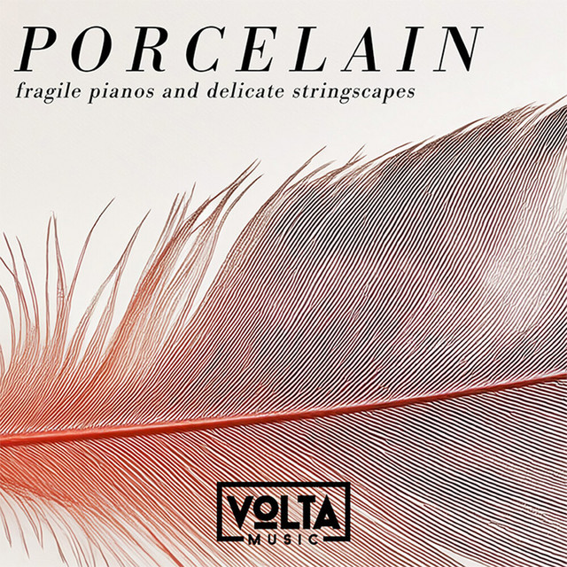 Porcelain cover art