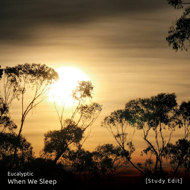 When We Sleep (Study Edit) cover art