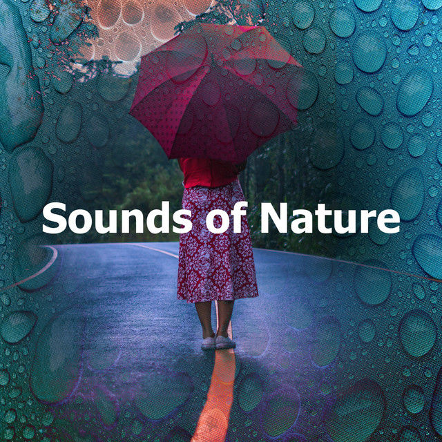Sounds of Nature - Album by Sonidos de la naturaleza: tormenta, lluvia ...