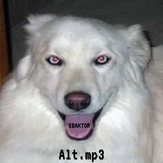 Alt.mp3 cover art