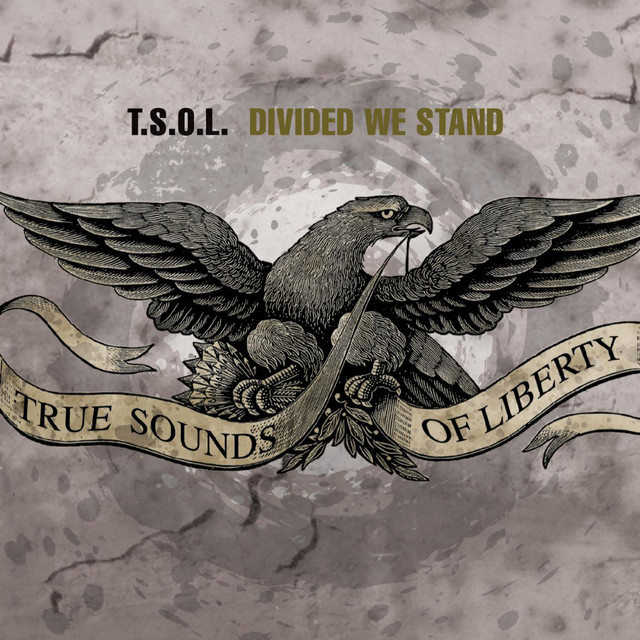 Divided We Stand cover art