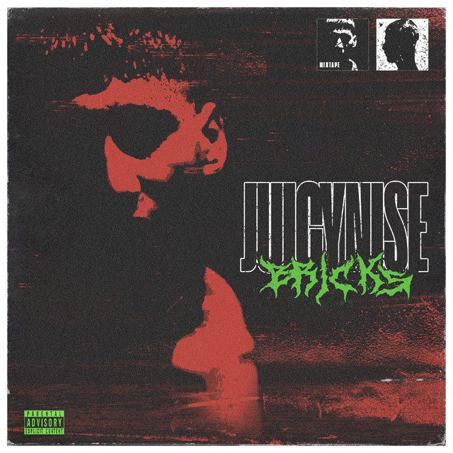 Bricks cover art