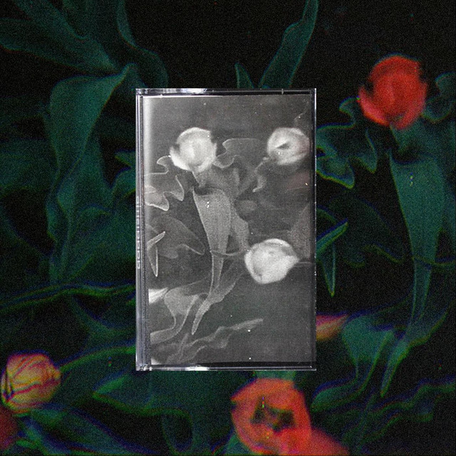 Dadaisme cover