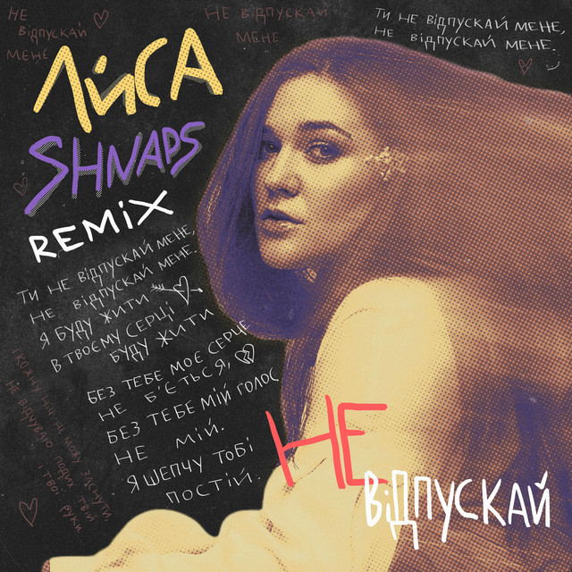 Обкладинка: Не відпускай - Shnaps Remix — Ли́са