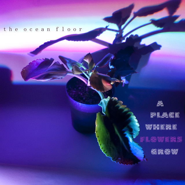 A Place Where Flowers Grow cover art