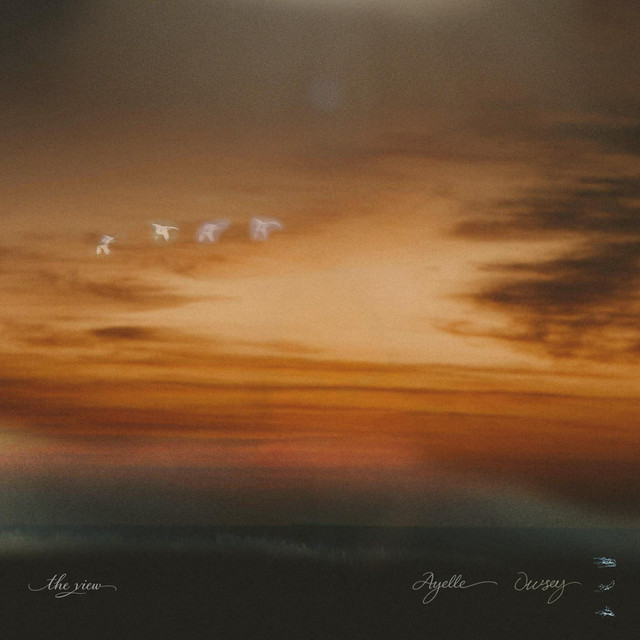 undefined album image