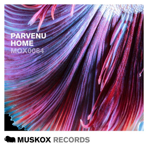 Home - Original Mix cover art