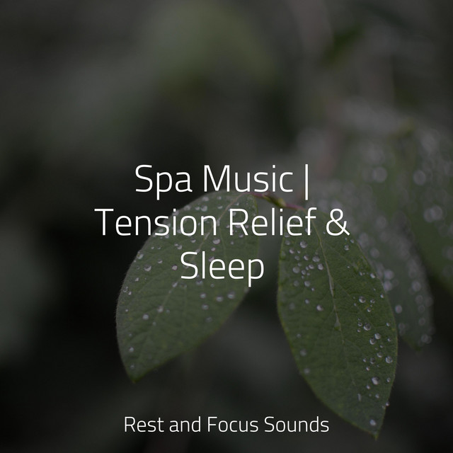 Swaying Trees - song and lyrics by Música relaxante, Spa Isochronic ...