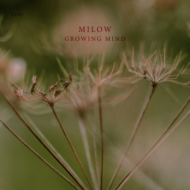 Transcending Reality - Single by milow | Spotify