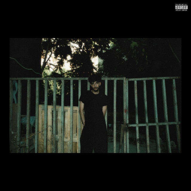 X2C DLX cover art