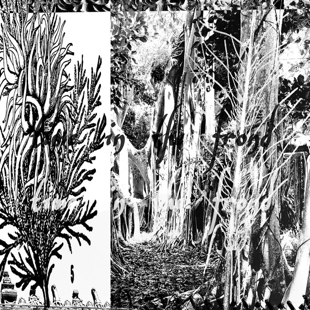 time in the frond
