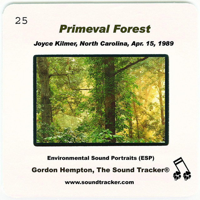 Primeval Forest cover