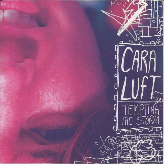 Tempting the Storm cover art