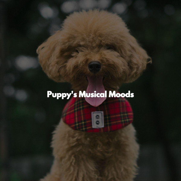 Puppy's Musical Moods cover art