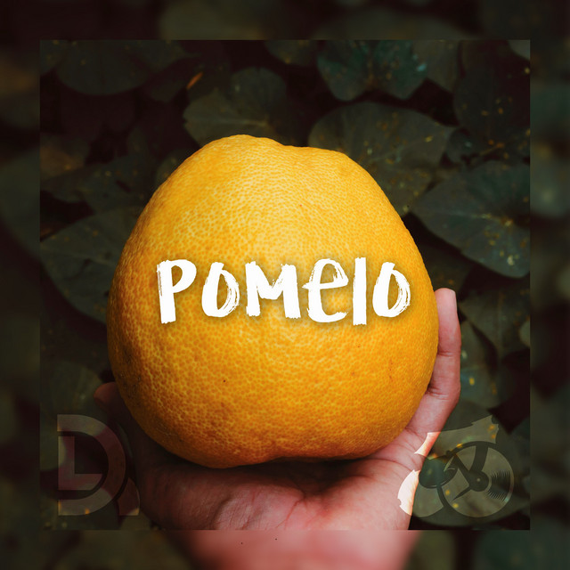Pomelo - Single by DR. L | Spotify