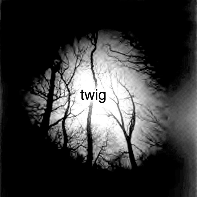 twig cover art