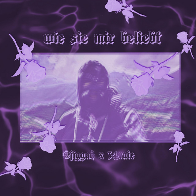 Wie sie mir beliebt cover