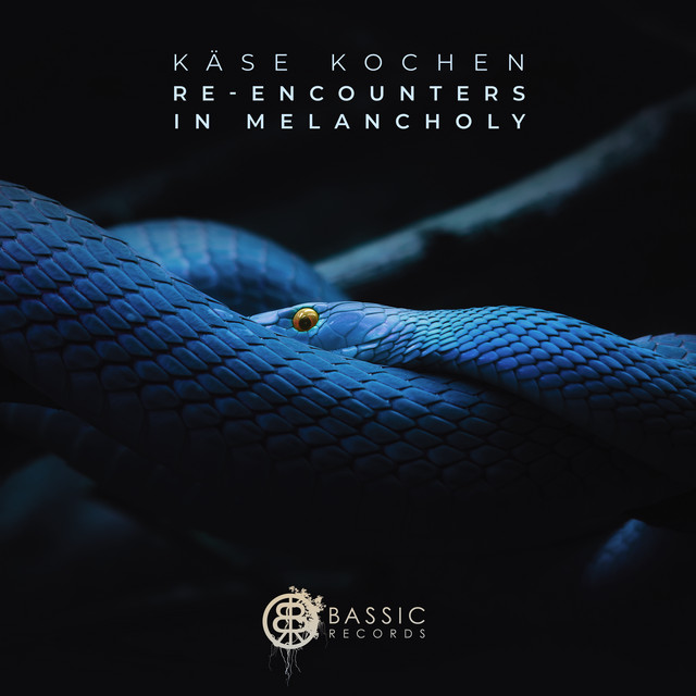 Re-Encounters In Melancholy cover art