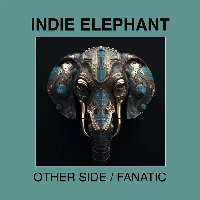 Cover art: Other Side — Indie Elephant