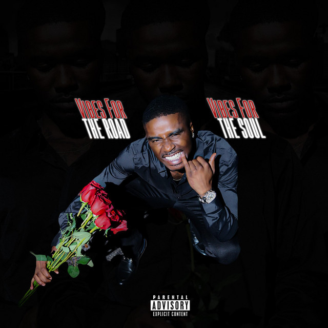 Vibes For the Road Vibes For The Soul cover art