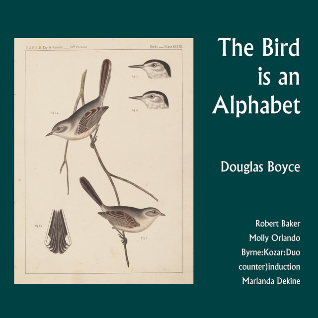 Douglas Boyce: The Bird Is an Alphabet
